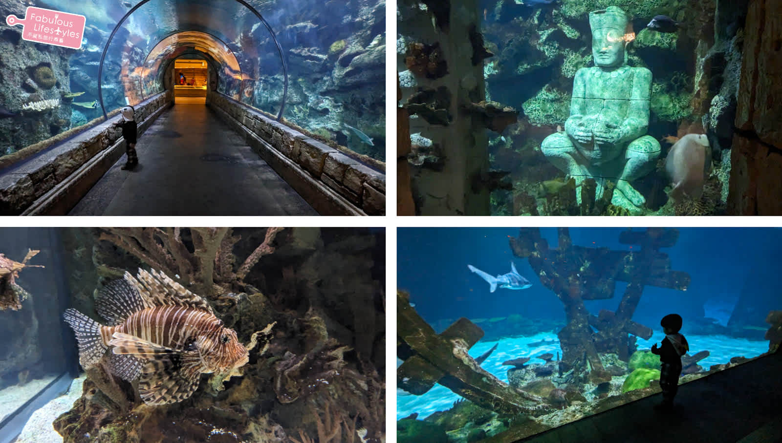https://thefabulouslifestyles.com/las-vegas-shark-reef-aquarium