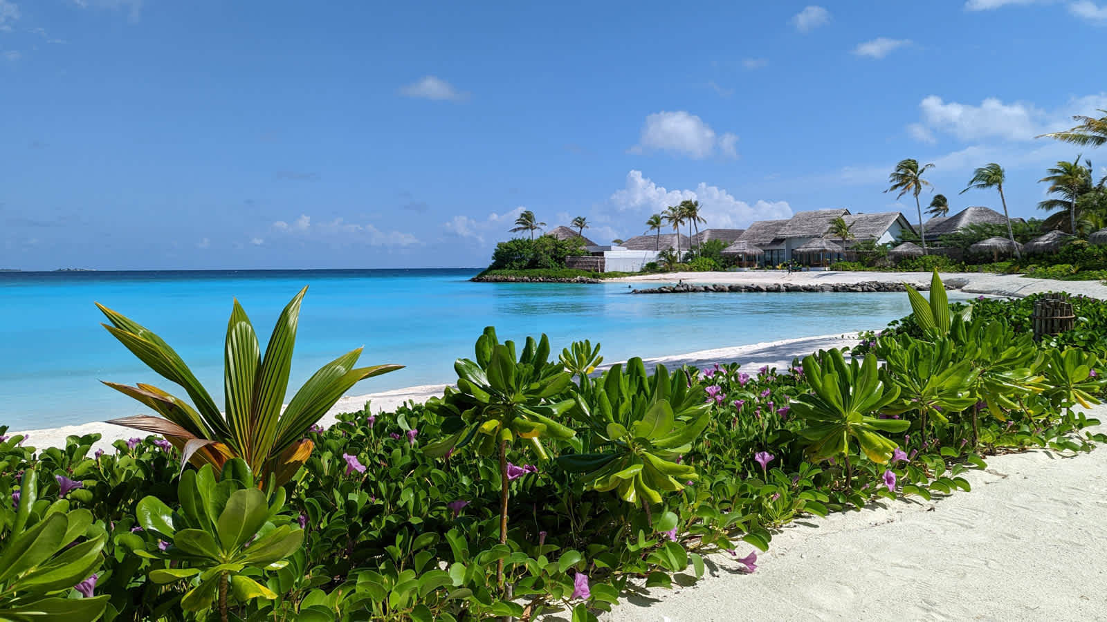 【馬爾地夫．希爾頓Amingiri渡假村】海灘Villa開箱∣Hilton Maldives Amingiri Resort Beach Villa