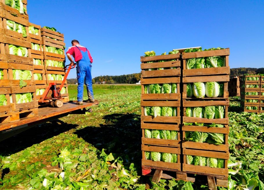 The $1T Dividend: Moving from Static Records to Proactive Waste Avoidance in the Cold Chain