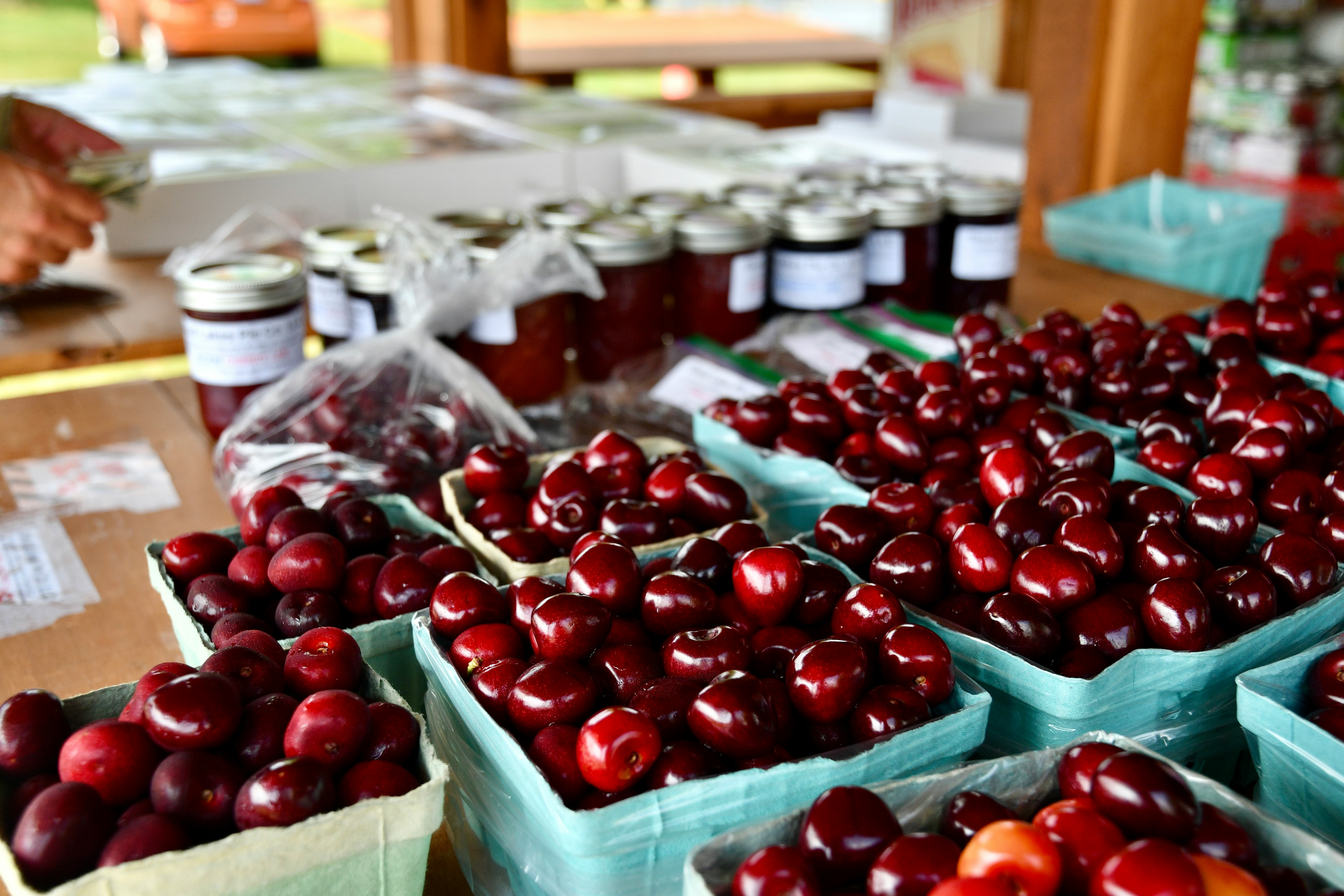 peggy-paulson-cherries