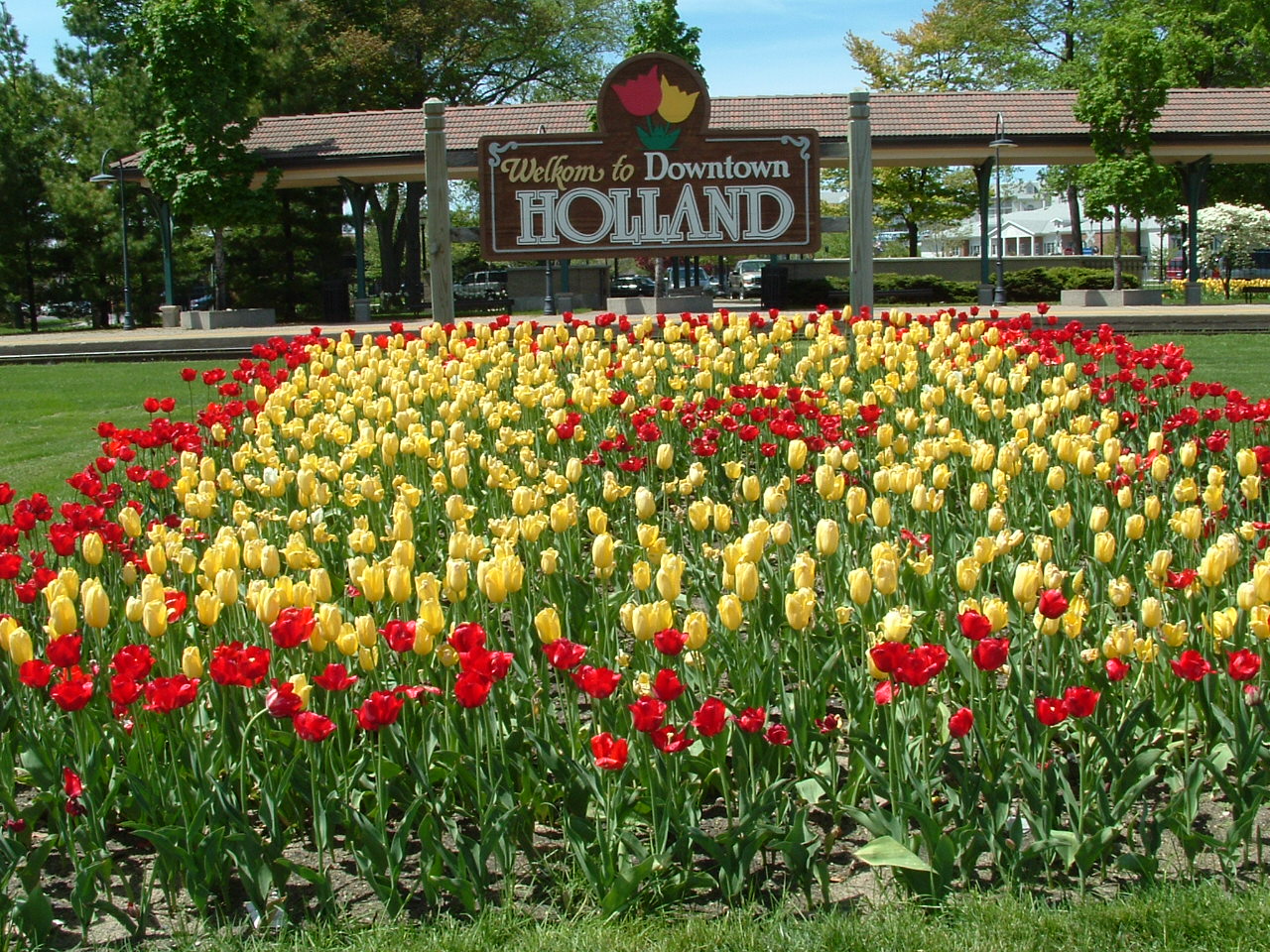 Holland MI Tulips 01