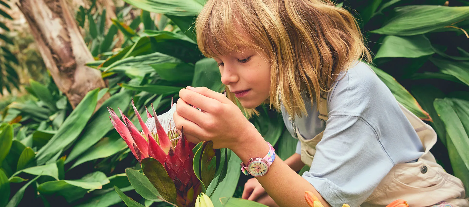 Adventure starts here: Meet our Island Greetings collection