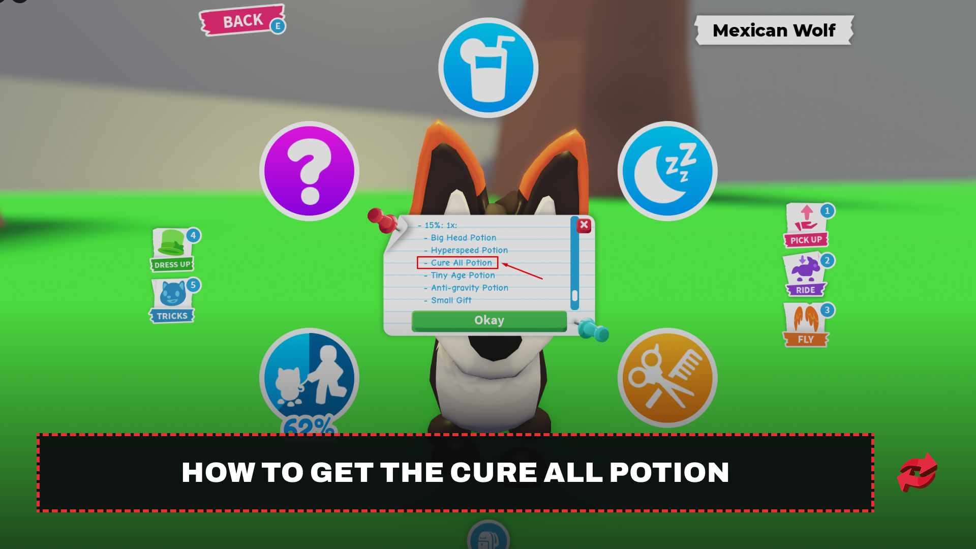 How to Get the Cure All Potion