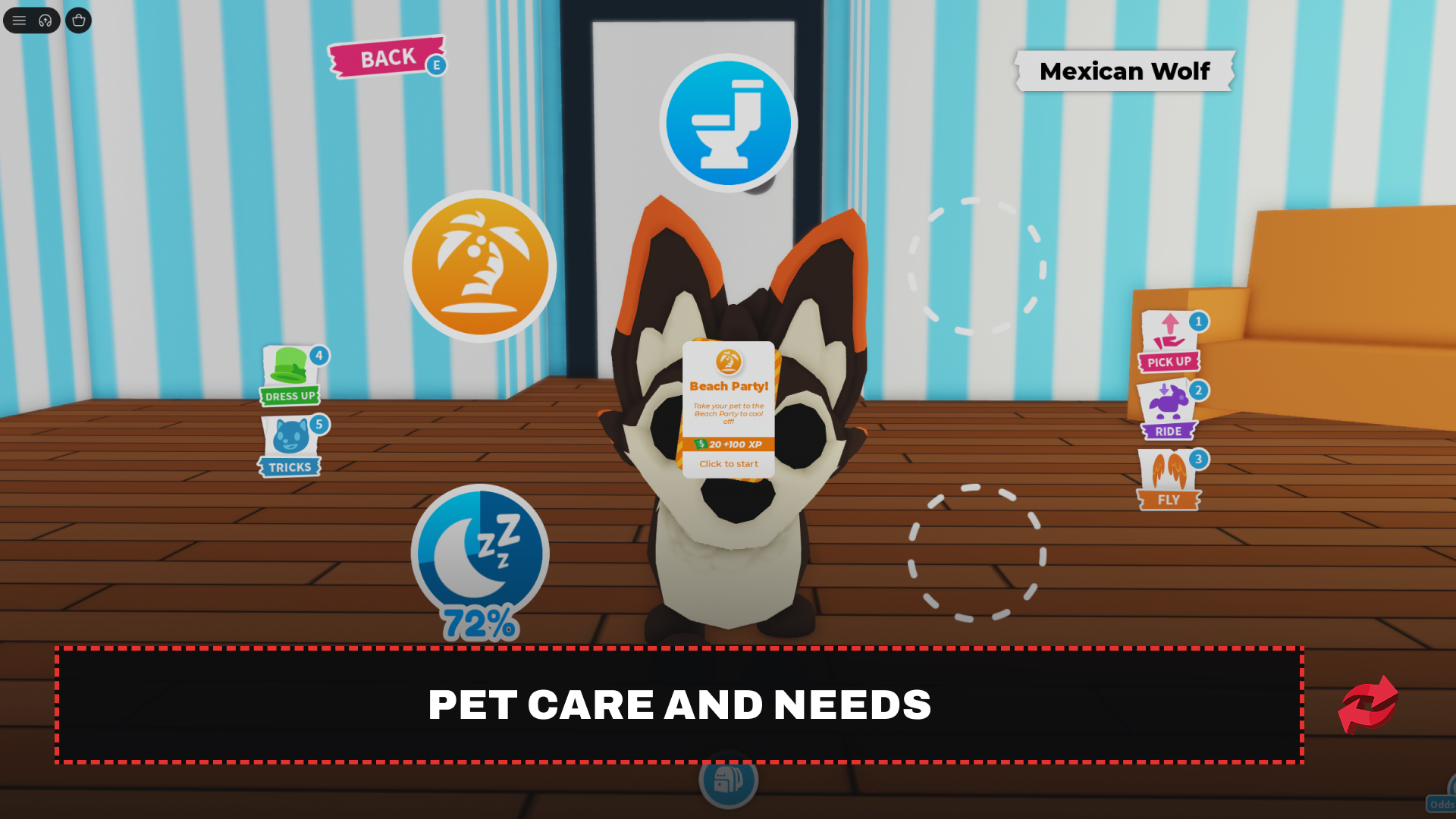 Pet Care and Needs