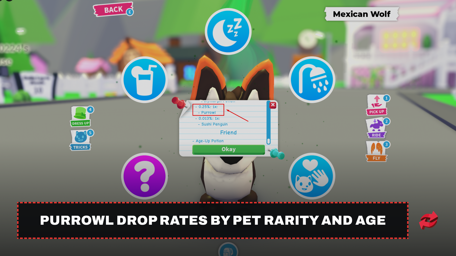 Purrowl Drop Rates by Pet Rarity and Age