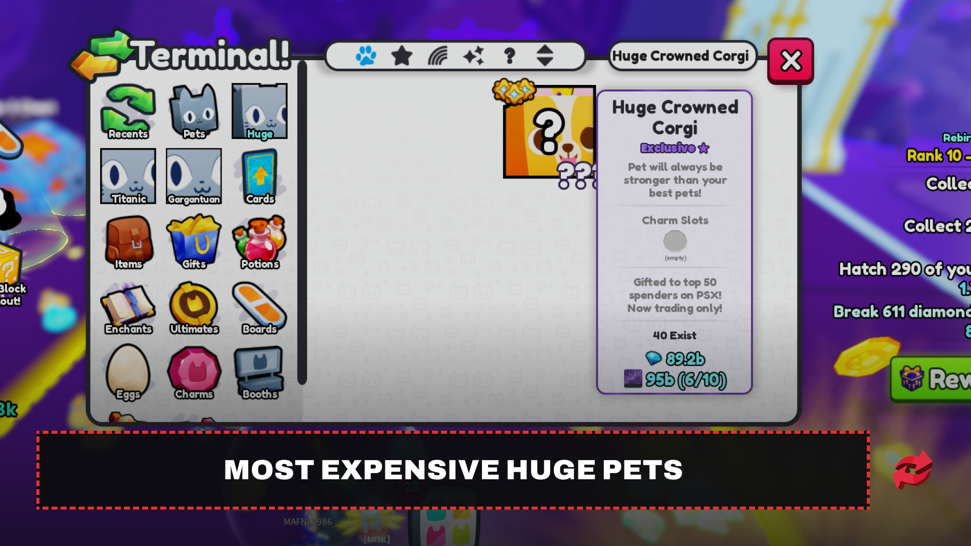 Most Expensive Huge Pets