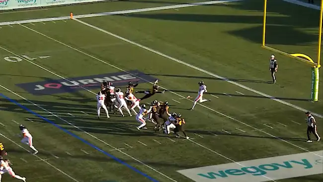 Blocked punt leads to a Tiger-Cats touchdown!