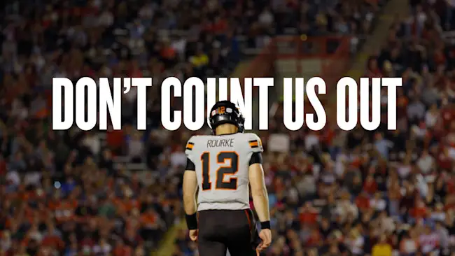 Lions TV