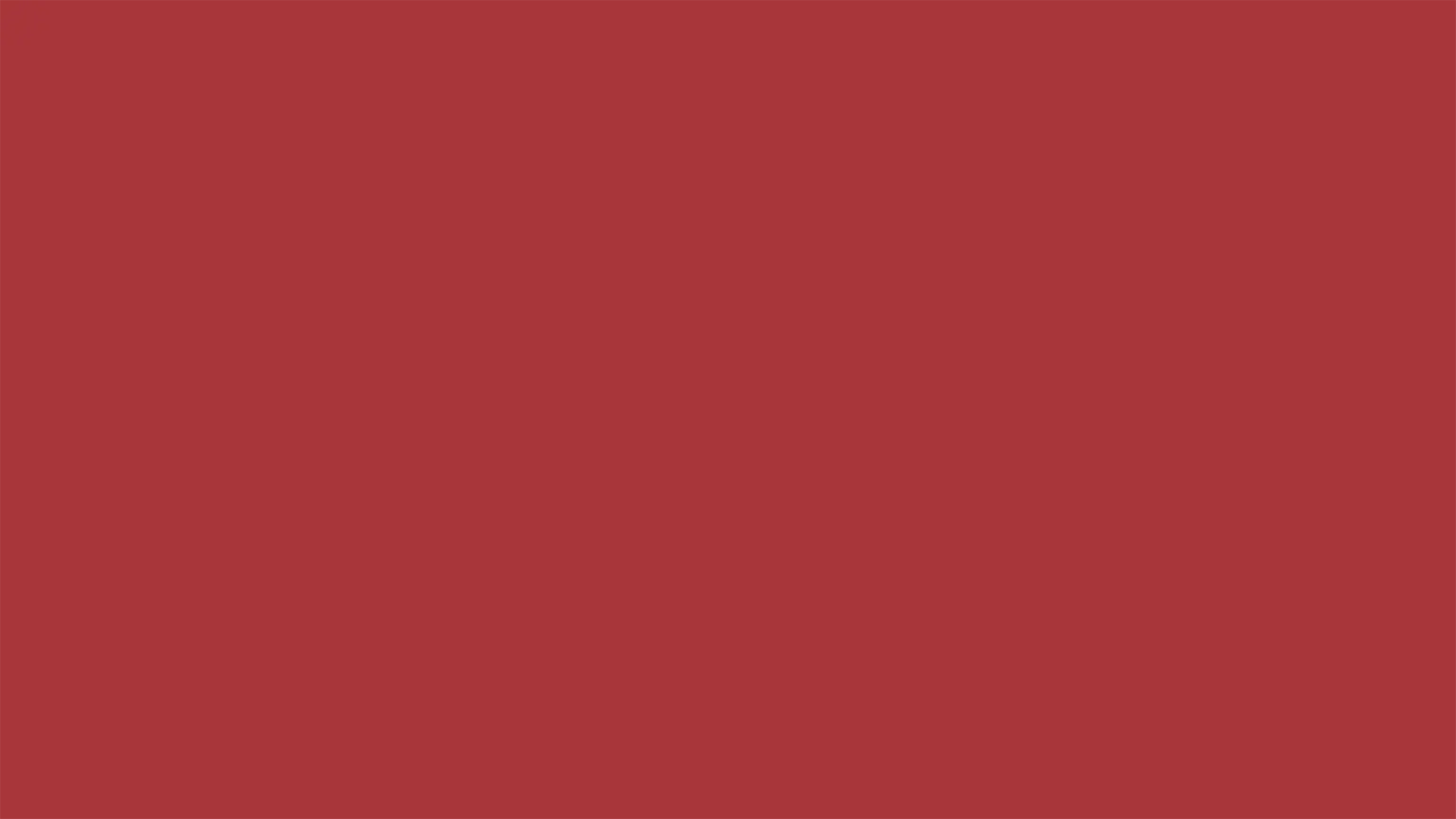 brandguidelines Red-100