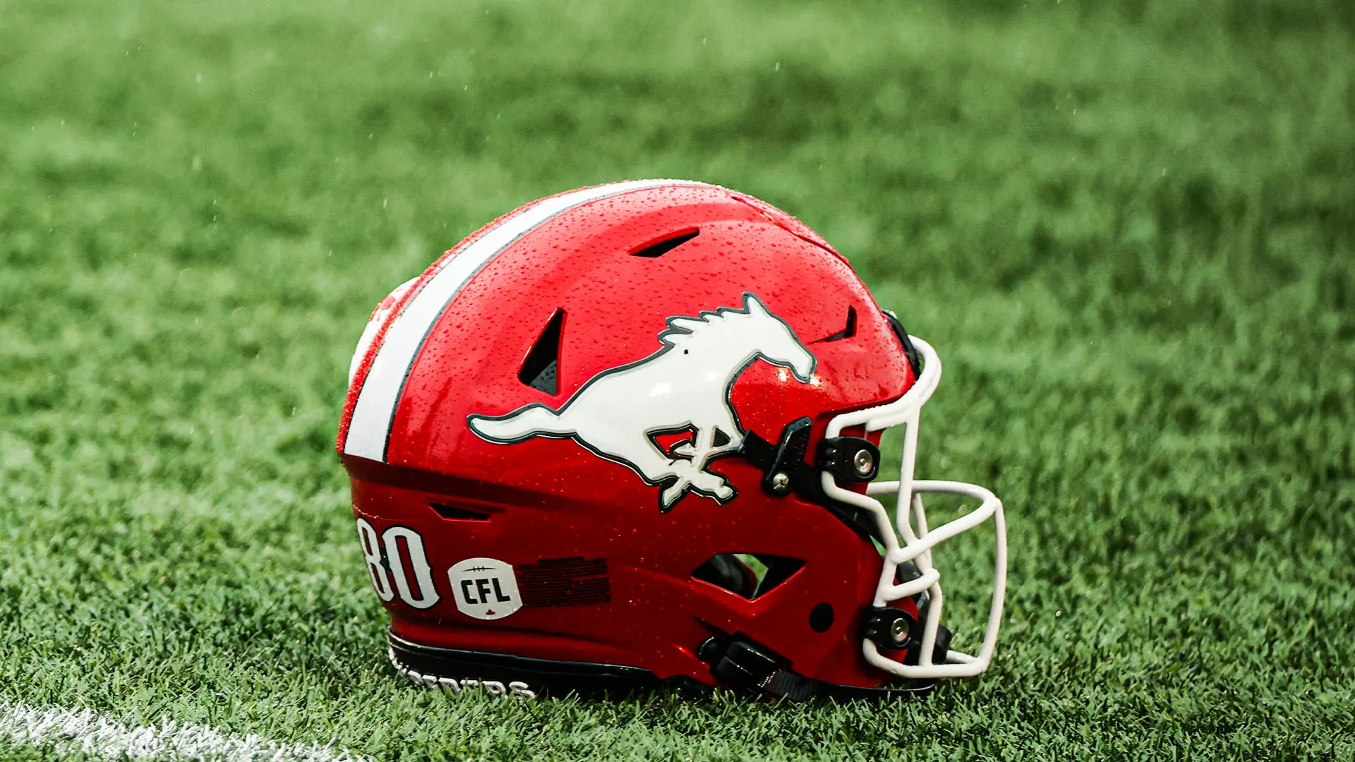 Stamps Release Offensive Lineman