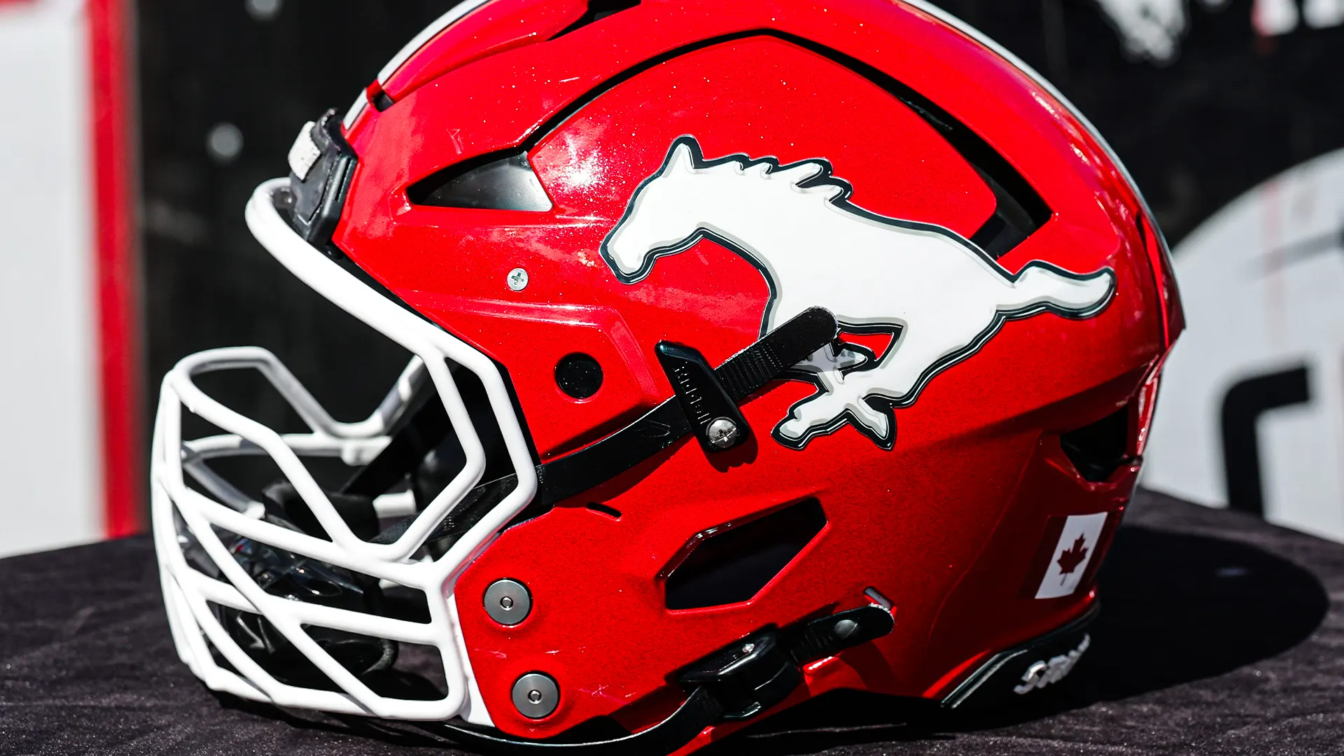 Stamps Release Two From Practice Roster