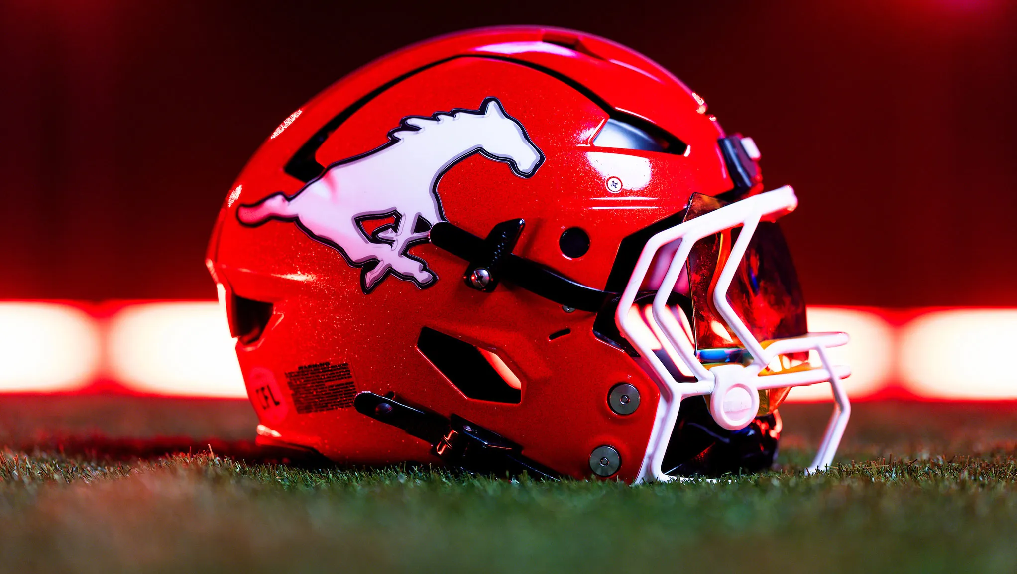Stamps sign National offensive lineman Tyler Packer