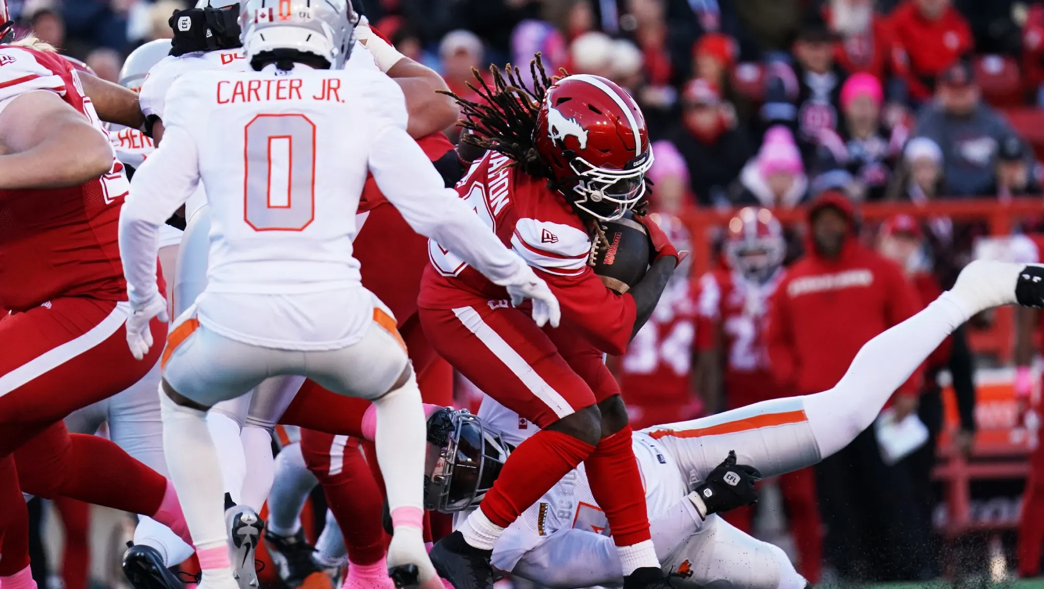 Stampeders keep playoff hopes alive with win over Lions