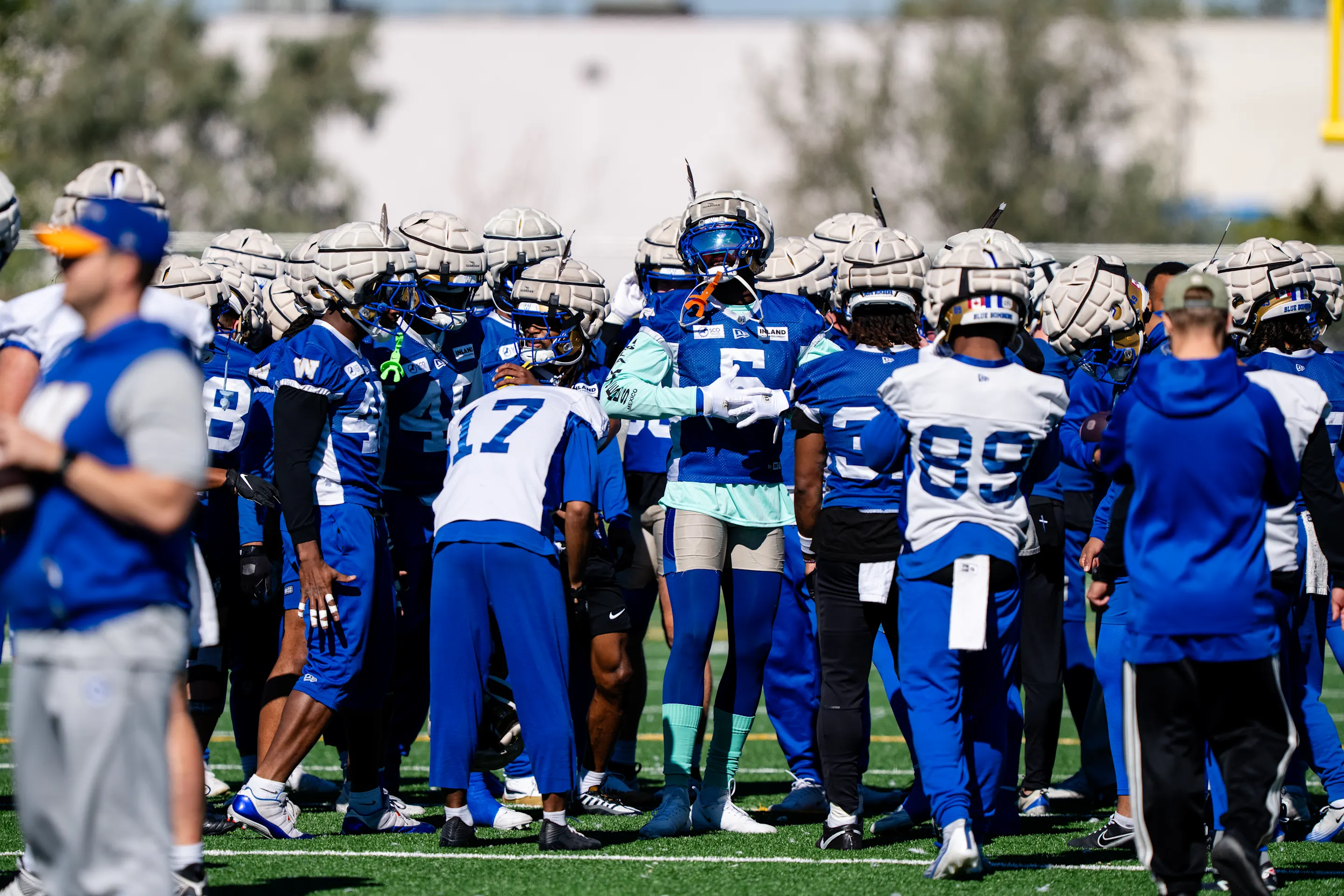 Need to Know | Week 17 vs Toronto
