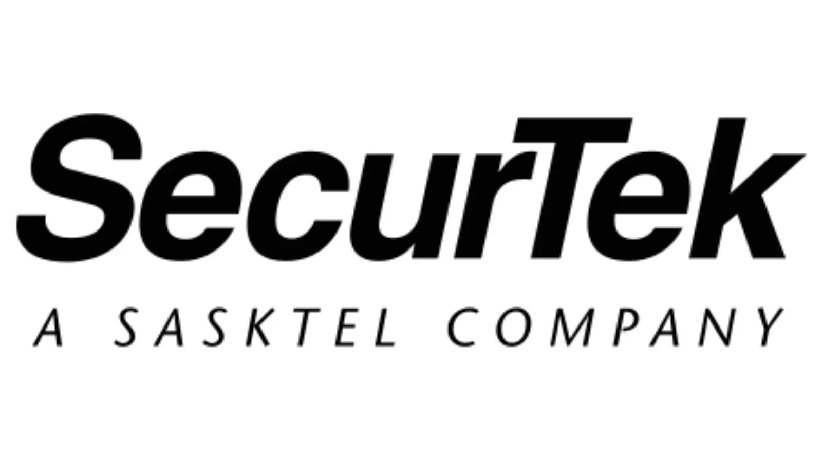 SecurTek - Black Logo