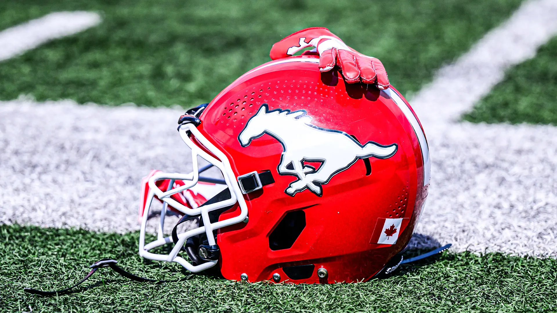 Stamps Add Six To Practice Roster