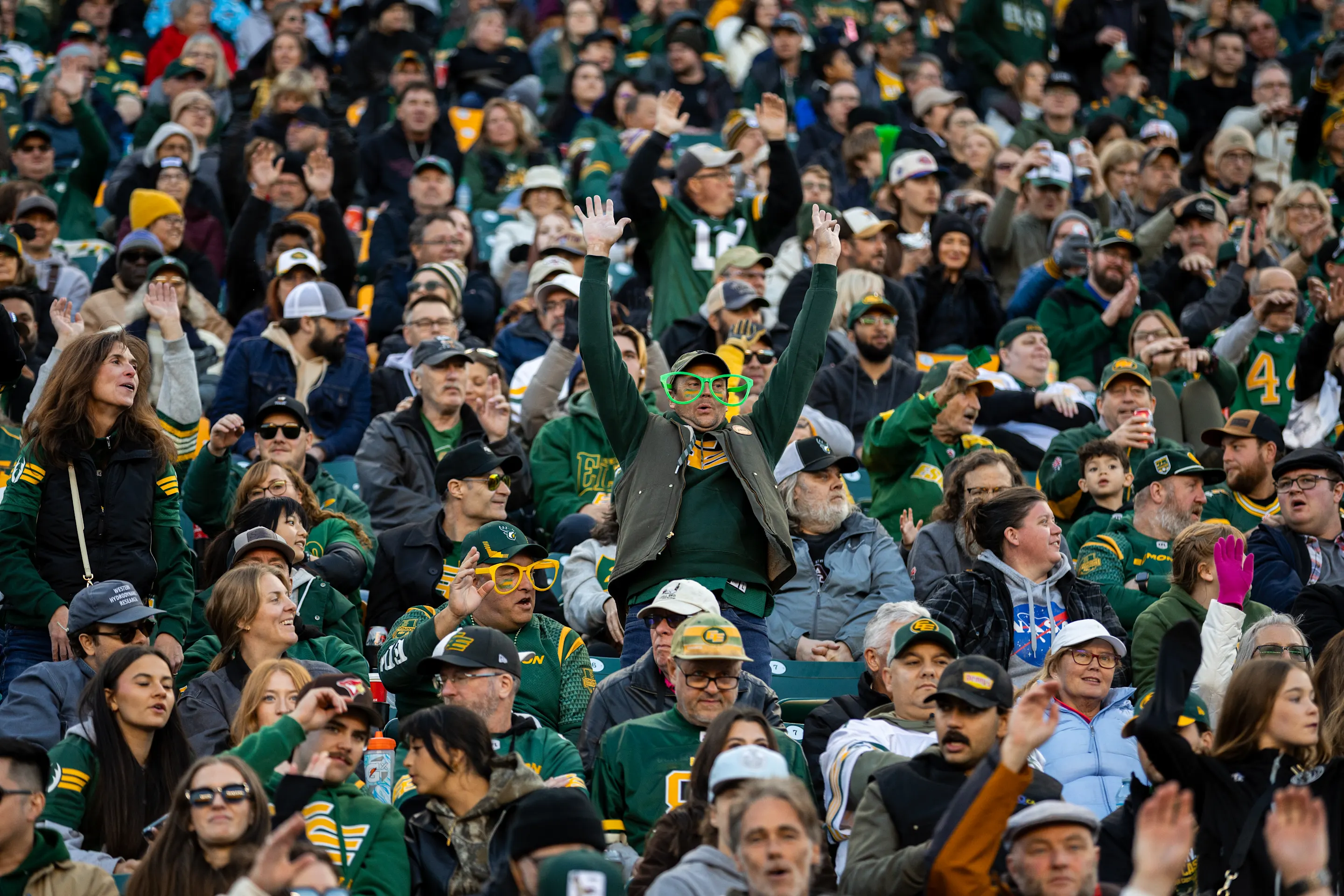 Fans In Stands