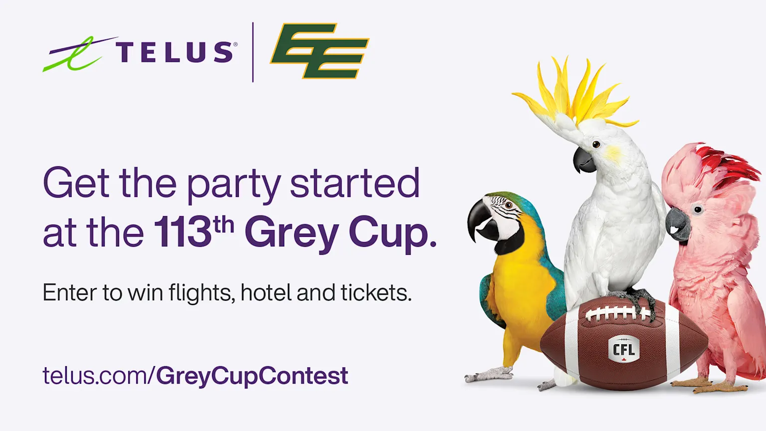 Telus-Greycup-Giveway-2026