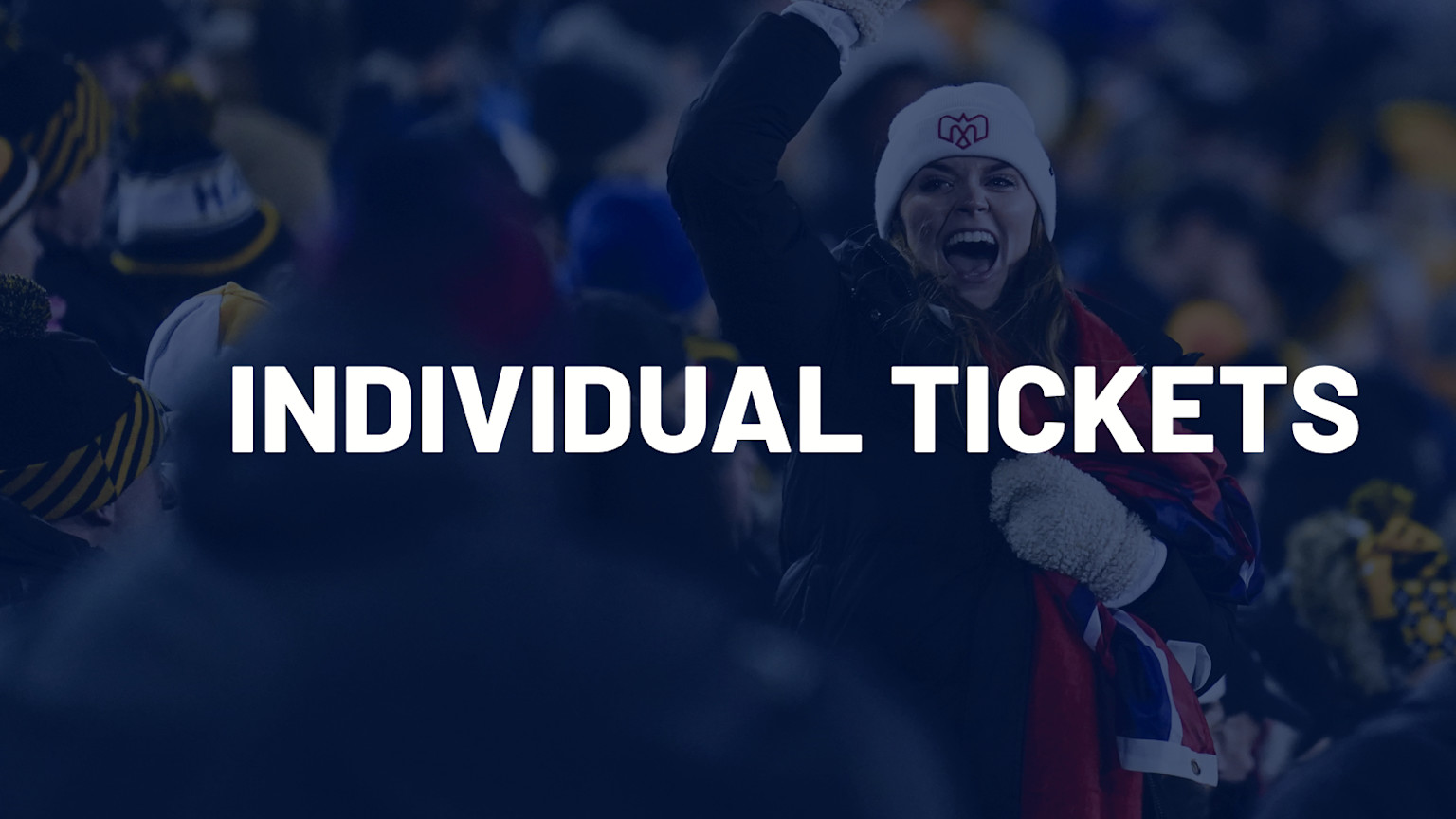 IMG SINGLE GAME TICKET