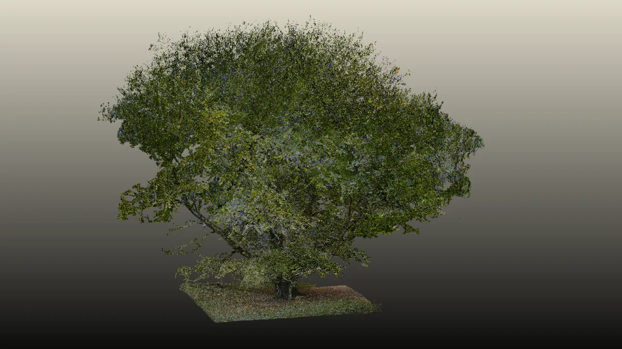 Blog post image