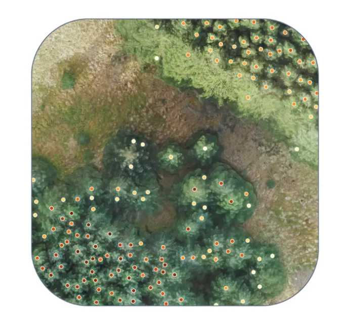 Blog post image