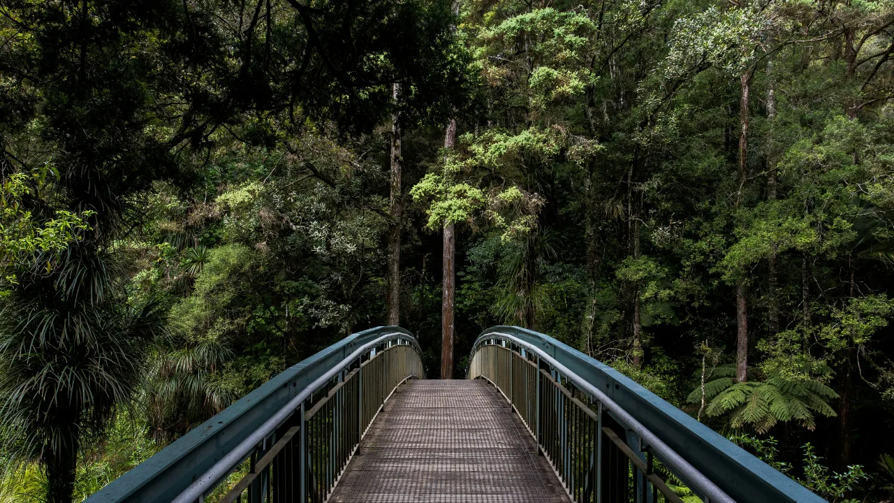 Blog post image