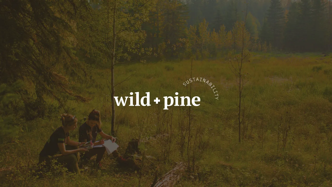 Blog post image