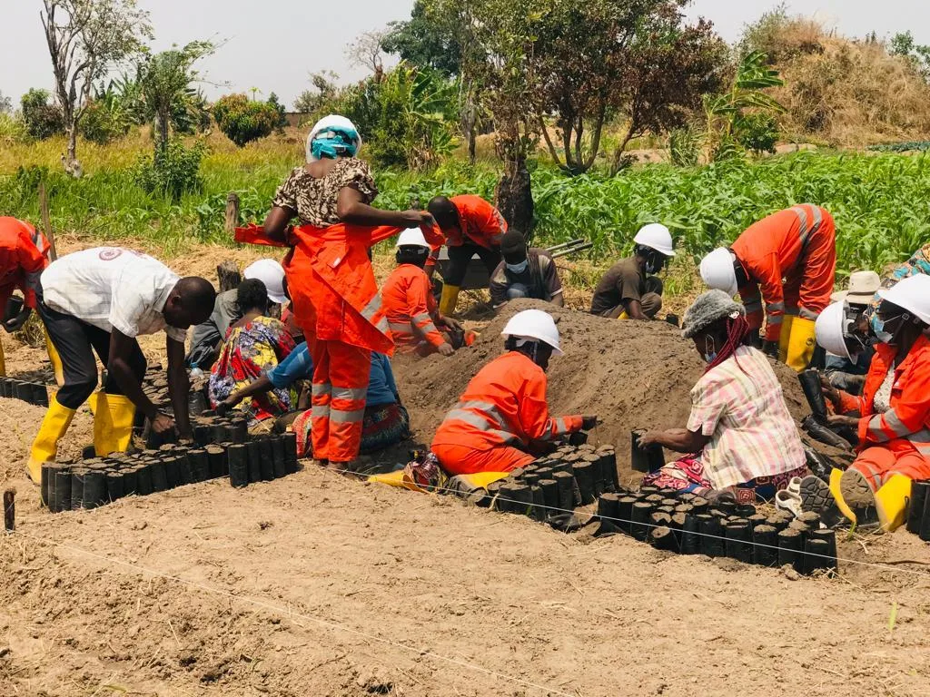 Case Study Image - Carbon Ventures Africa