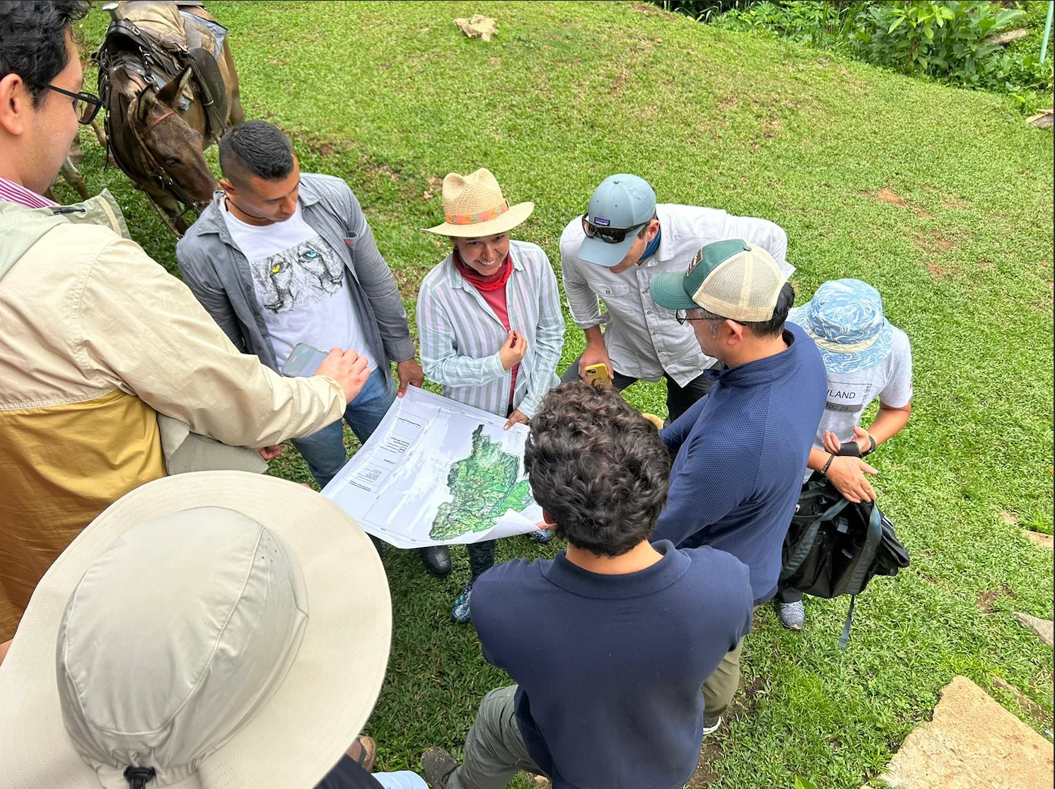 Case Study Image - Nature Re