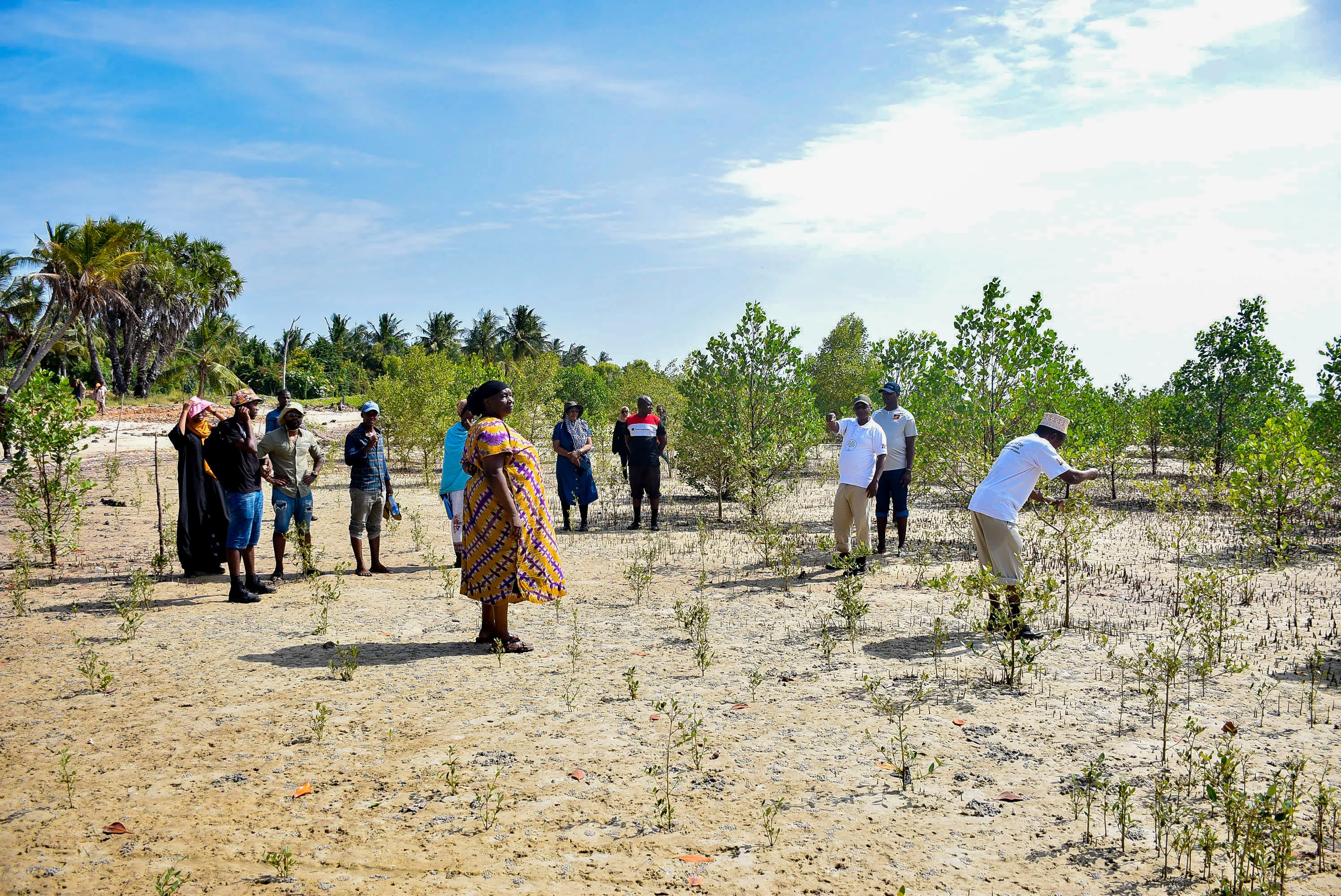 Case Study Image - Vlinder