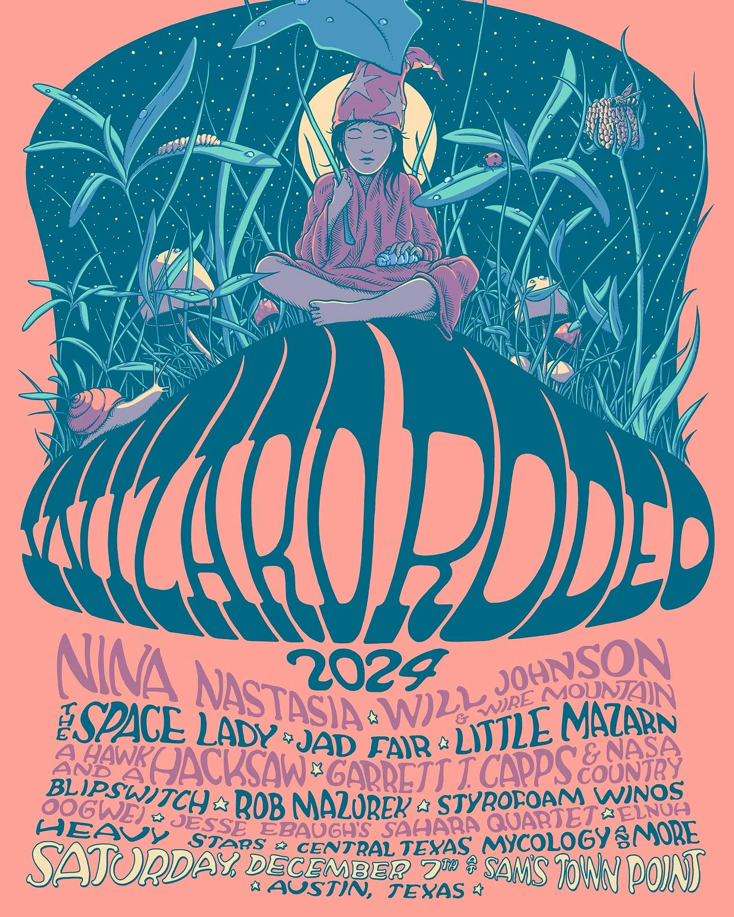 Wizard Rodeo 2024; Nina Nastasia, Will Johnson & Wire Mountain, The Space Lady, Jad Fair, Little Mazarn, A Hawk and a Hacksaw, Garrett T. Capps & NASA Country, Blipswitch, Rob Mazurek, Styrofoam Winos, Oogwei, Jesse Ebaugh's Sahara Quartet, Elnuh, Heavy Stars, Central Texas Mycology and more; Saturday, December 7, 2024 at Sam's Town Point, Austin, Texas.