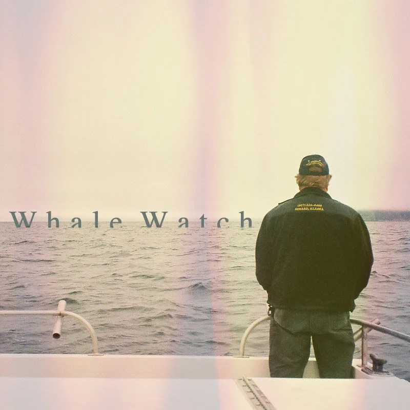  Whale Watch Live - San Antonio