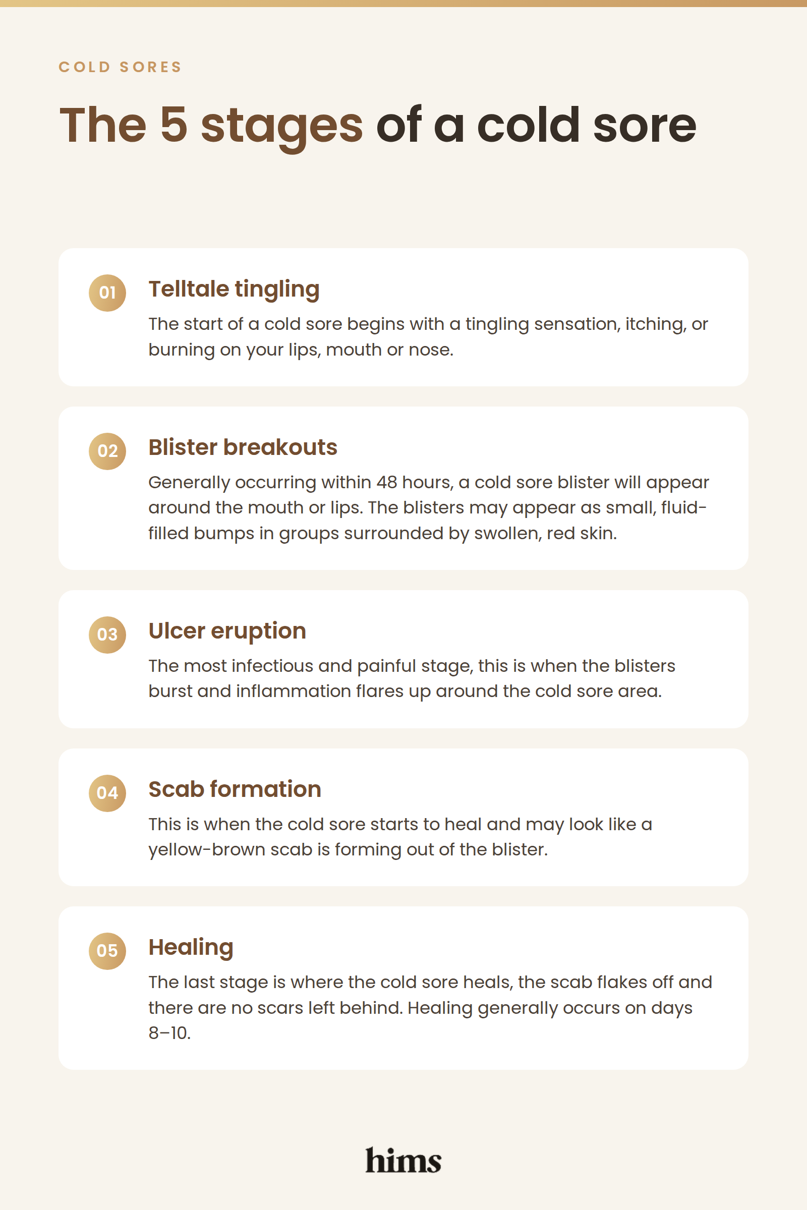 Infographic explaining the 5 stages of a cold sore, from tingling and blister breakouts through to scab formation and healing