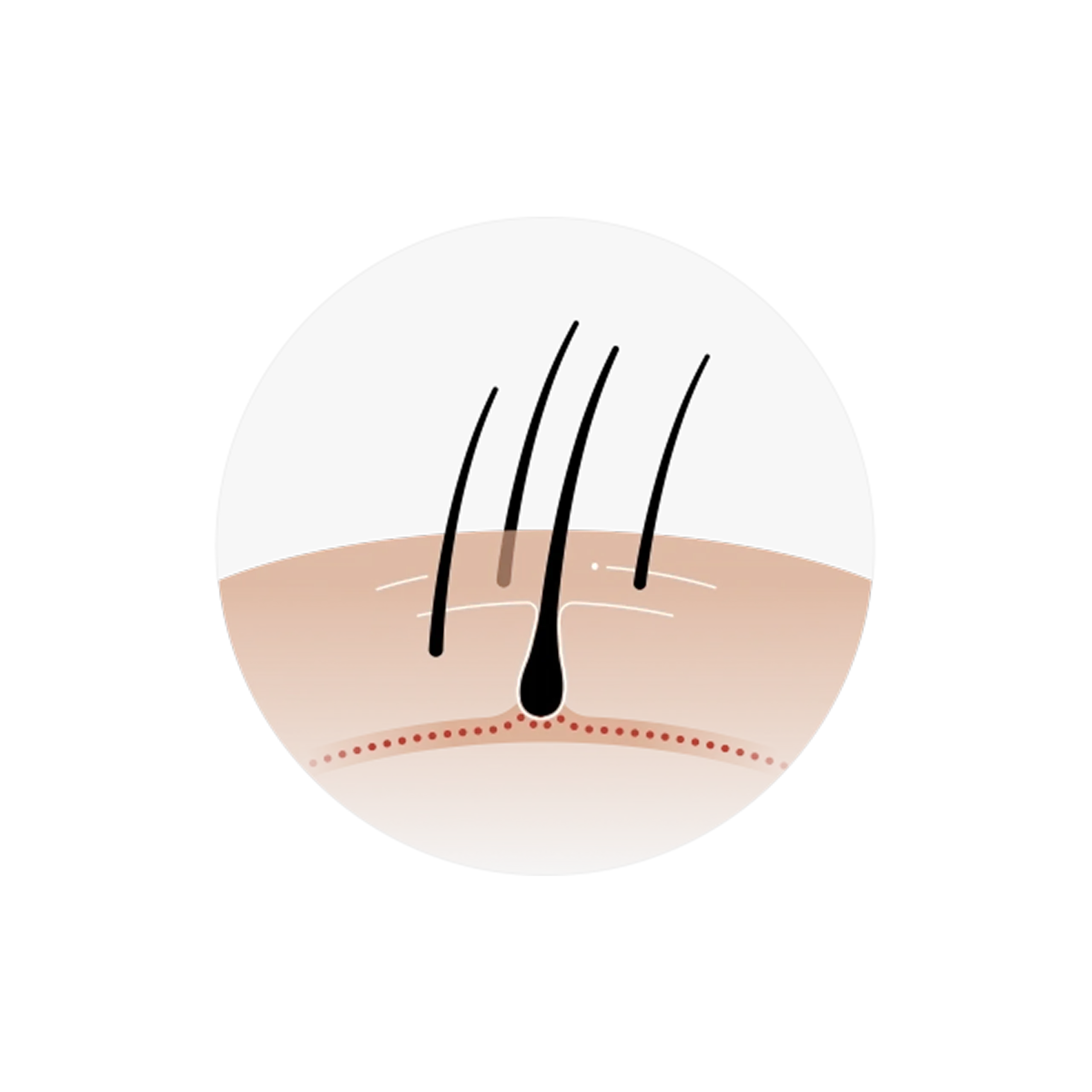 New growth appearing after hair loss treatment plan takes action