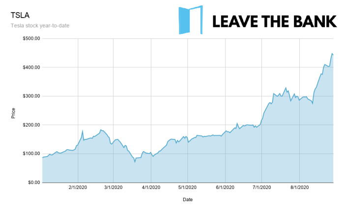 TSLA stock 2020