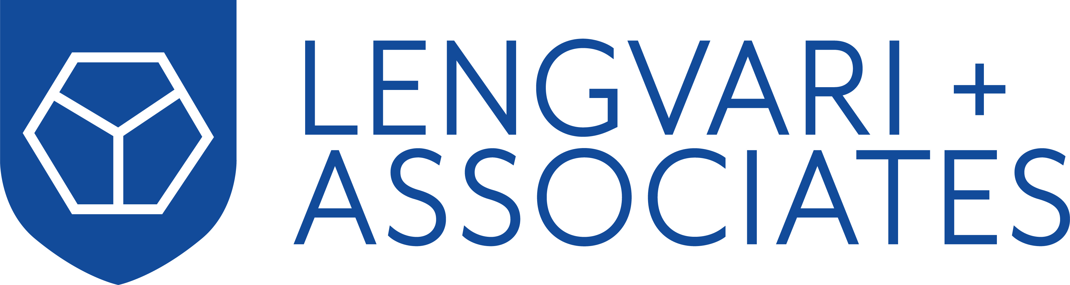 Lengvari & Associates Inc