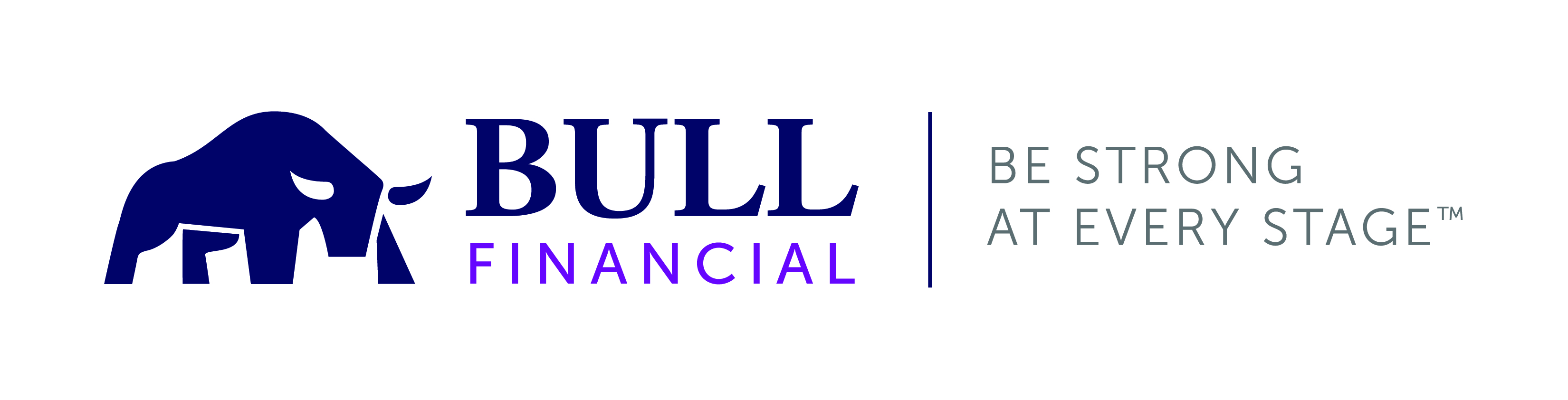 Bull Financial Services Inc.