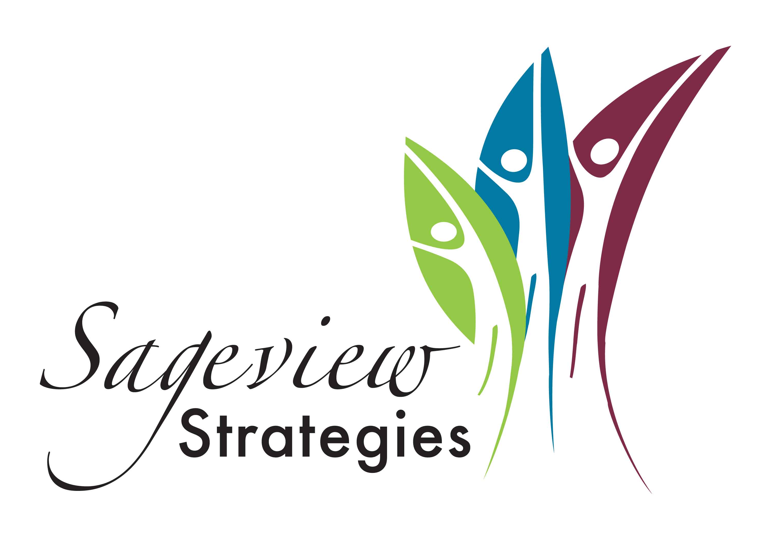 Sageview Strategies Inc.