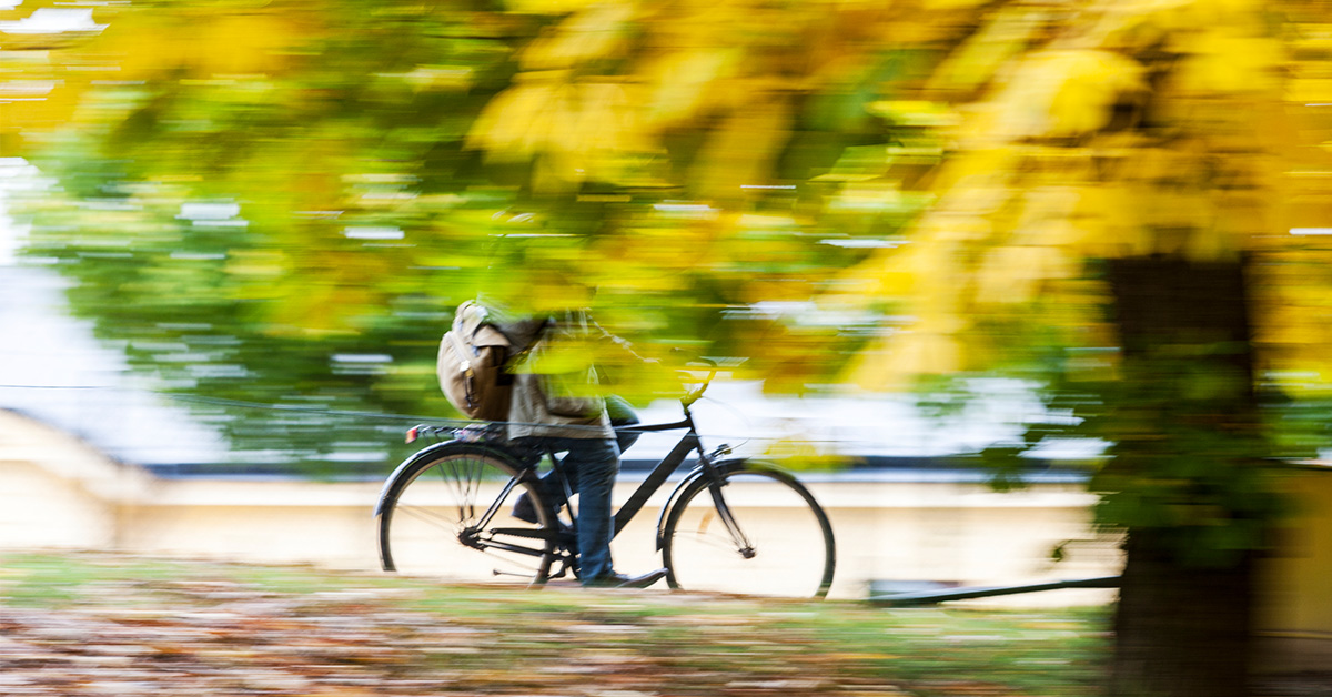 En cyklist som cyklar bakom ett träd.