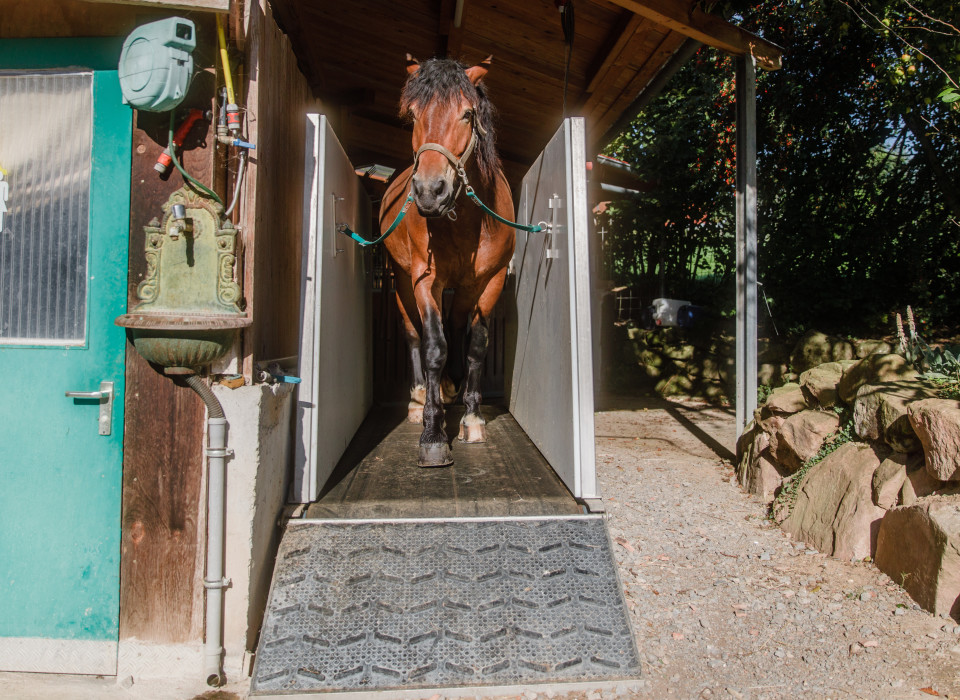 Führanlage im Pferdehotel Brunnenhof