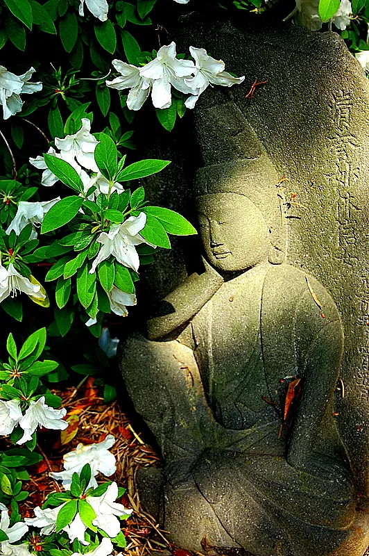 Buddha Image by Pat Shallenberger