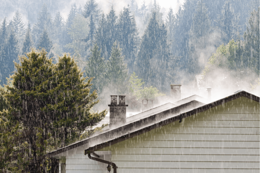 roof inspection and cleaning becomes easy in fall season