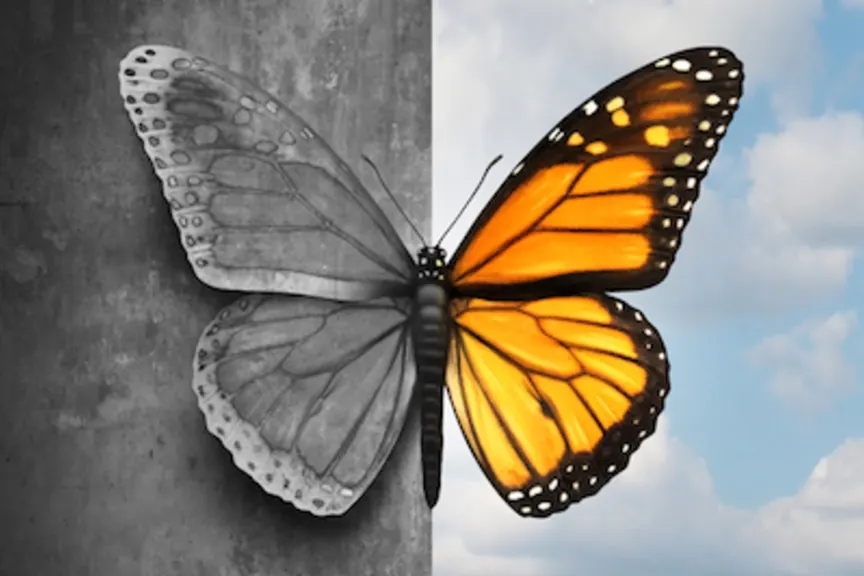 蝴蝶半，黑白，半颜色;双极概念。