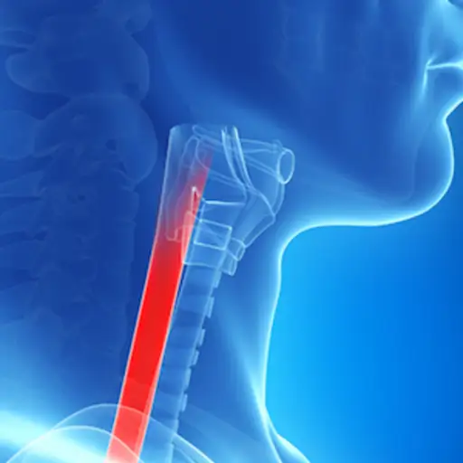 honey can help with acid reflux by coating esophagus. (highlighted)