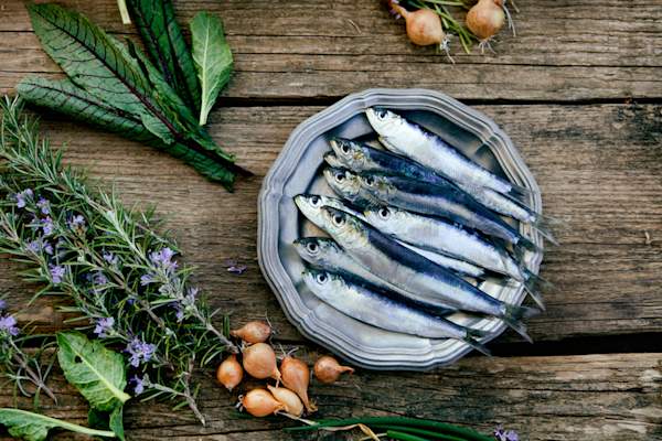 盘子里的新鲜沙丁鱼