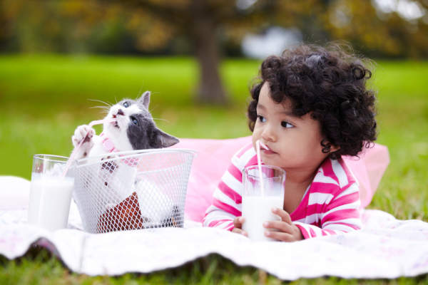 可爱的孩子和小猫一起喝牛奶。