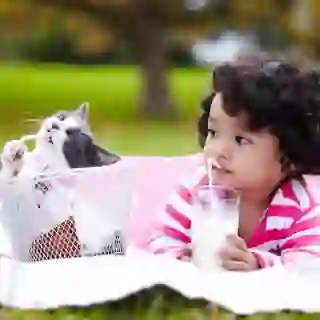 Adorable child drinking milk with kitten.