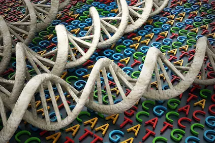 DNA遗传密码的概念。