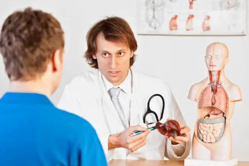 医生给病人看肝脏模型