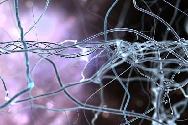 大脑突触的形象